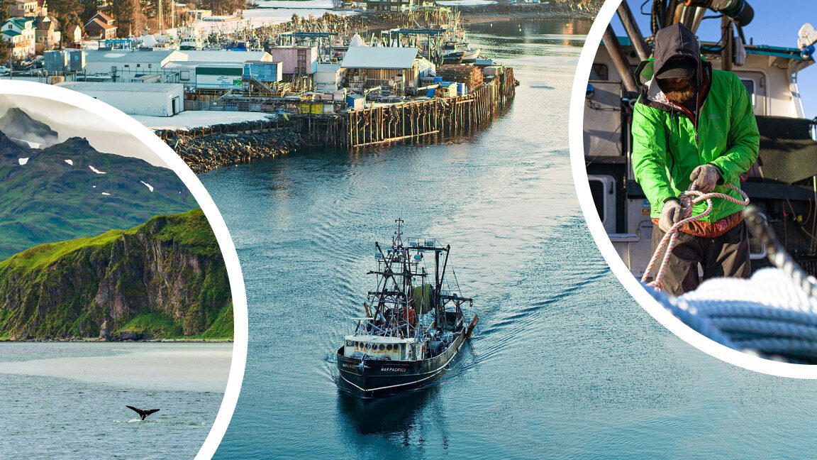 Дійсно натуральна риба